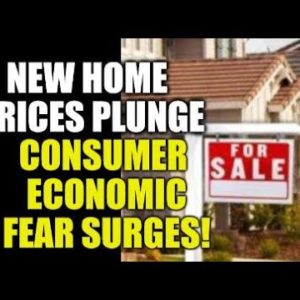 NEW HOME PRICES PLUNGE! CEO WARNS RETAIL BANKRUPTCY TSUNAMI, CONSUMERS ECONOMIC FEAR RISES