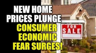 NEW HOME PRICES PLUNGE! CEO WARNS RETAIL BANKRUPTCY TSUNAMI, CONSUMERS ECONOMIC FEAR RISES